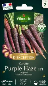 Carotte Violette Purple Haze HF1 - Graines d'Exception